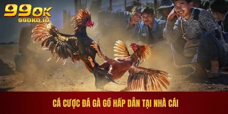 ĐÁ GÀ 99OK 3 Cá cược đá gà gồ hấp dẫn tại nhà cái