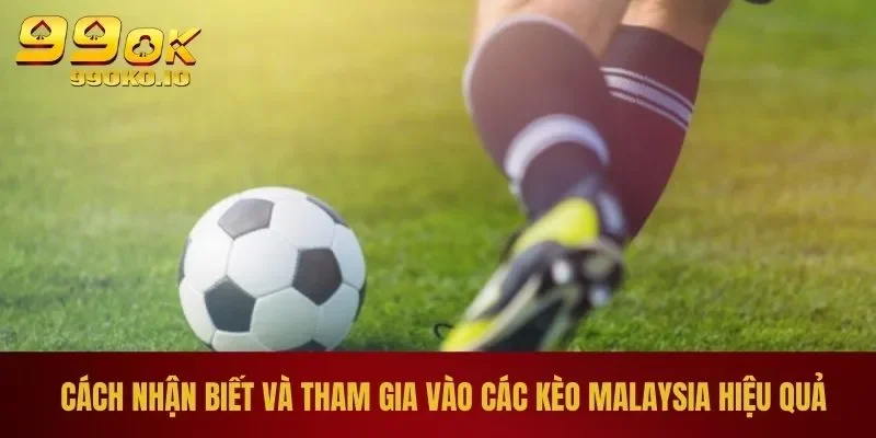 Hiểu Đúng Tỷ Lệ Kèo Malaysia Và Cách Chơi Chi Tiết Nhất 3 Cách nhận biết và tham gia vào các kèo Malaysia hiệu quả