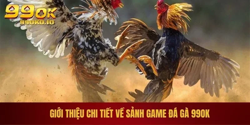 ĐÁ GÀ 99OK 1 Giới thiệu chi tiết về sảnh game đá gà 99OK
